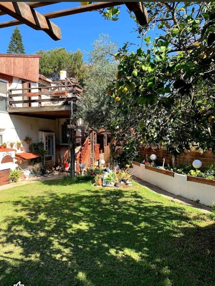 Czarina Cabin הבקתה הקיסרית Cezarea Zewnętrze zdjęcie